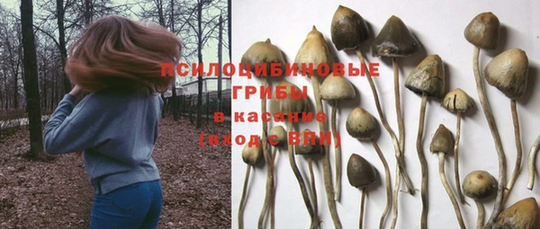 спиды Иннополис