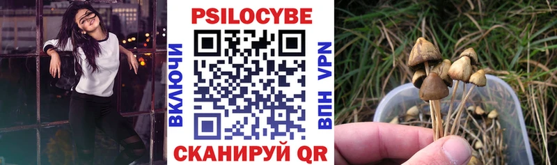 Галлюциногенные грибы мицелий  Купить  Нижняя Салда 